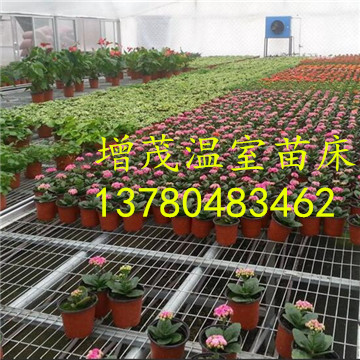 溫室<a href='/' target='_blank'><a href='http://www.xjwulian.com/miaochuangsheshi/203.html'target='_blank'>花架網(wǎng)</a></a>廠家