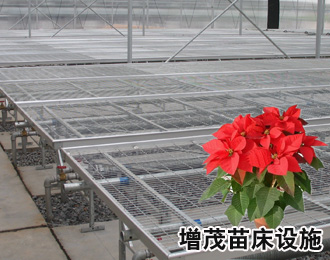 鐵絲托架苗床.jpg